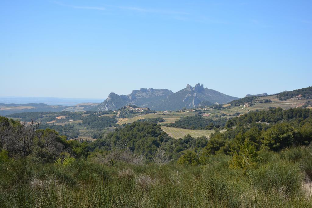 Bed and Breakfast Mas De Carabelle La Roque-Alric Экстерьер фото